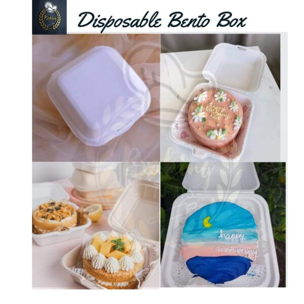 Disposable Bento Box Pack Of 10 Pcs