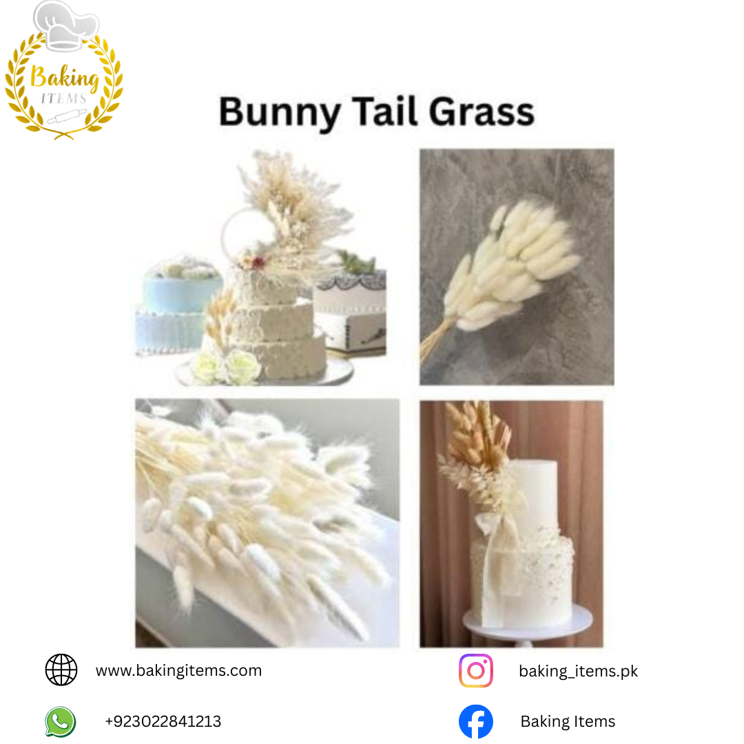 Bunny Tail Grass